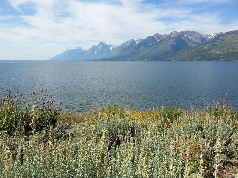 Yellowstone Lake: Calm Surface, Wild Secrets Below Yellowstone Lake: Calm Surface, Wild Secrets Below