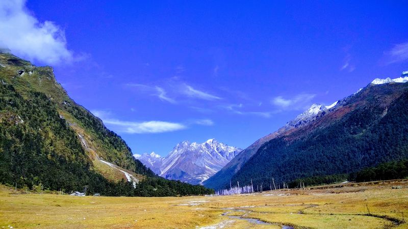 Yumthang Valley, Sikkim, India