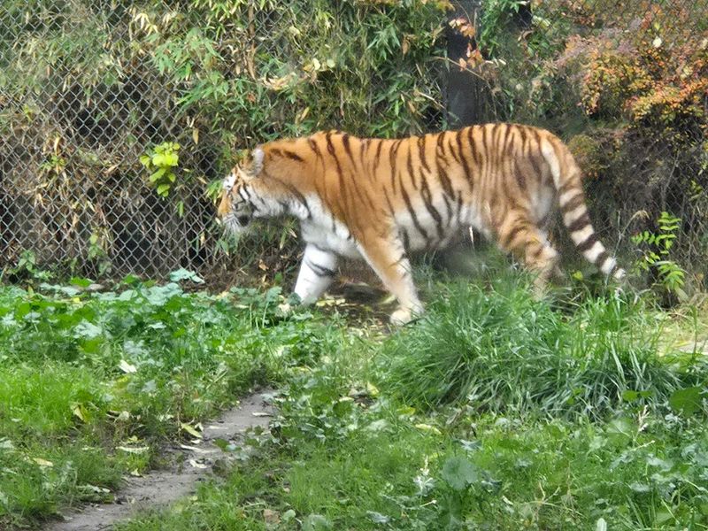 Zoo Boise: Surprisingly Personal Animal Encounters Zoo Boise: Surprisingly Personal Animal Encounters