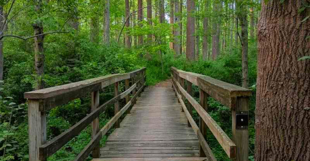 10 Creepy Places in Delaware That Will Send Chills Down Your Spine