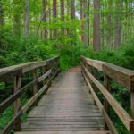 10 Creepy Places in Delaware That Will Send Chills Down Your Spine