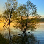 10 Hidden Lakes in Arkansas Perfect for a Quiet Getaway