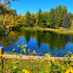 10 Nebraska Scenic Picnic Spots Perfect for a Relaxing Afternoon