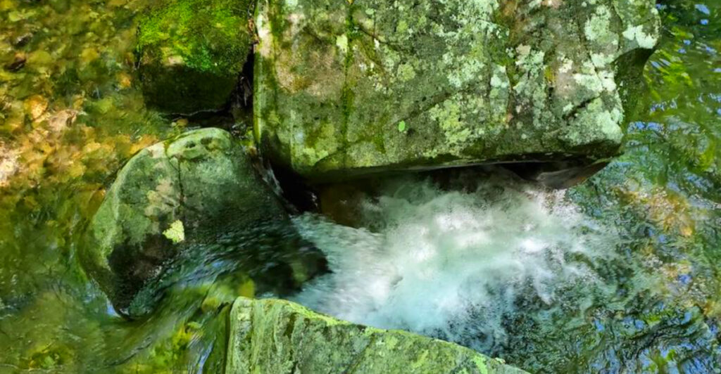 11 Arkansas Natural Springs Worth Visiting