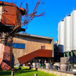 11 Delaware Wineries and Breweries Worth Visiting This Year