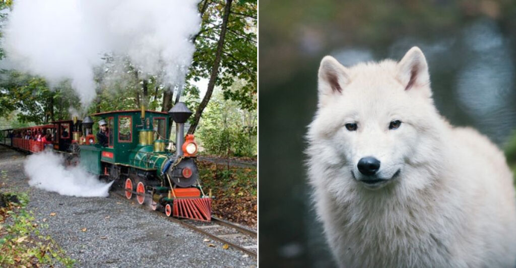 11 Kid-Friendly Washington Destinations Made For Sunny Summer Days