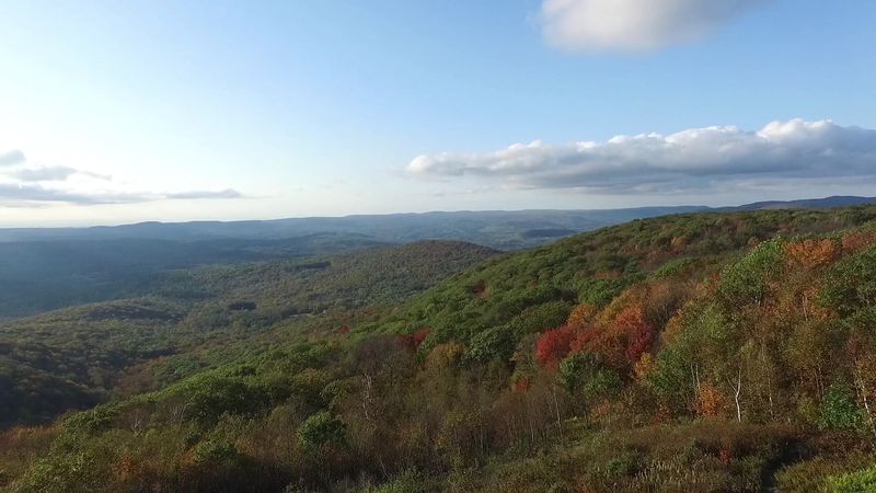 11,000 Acres of Forest and What That Actually Means