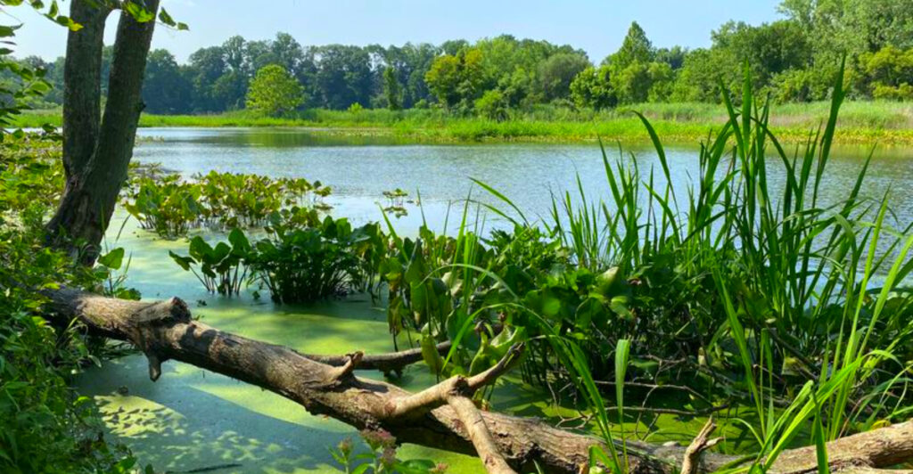 12 Historic Marshland Regions Packed With Untold Stories