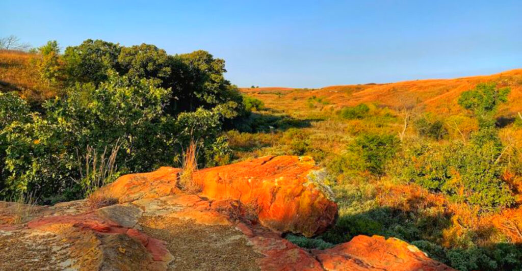 12 Kansas Scenic Picnic Spots Perfect for a Relaxing Afternoon