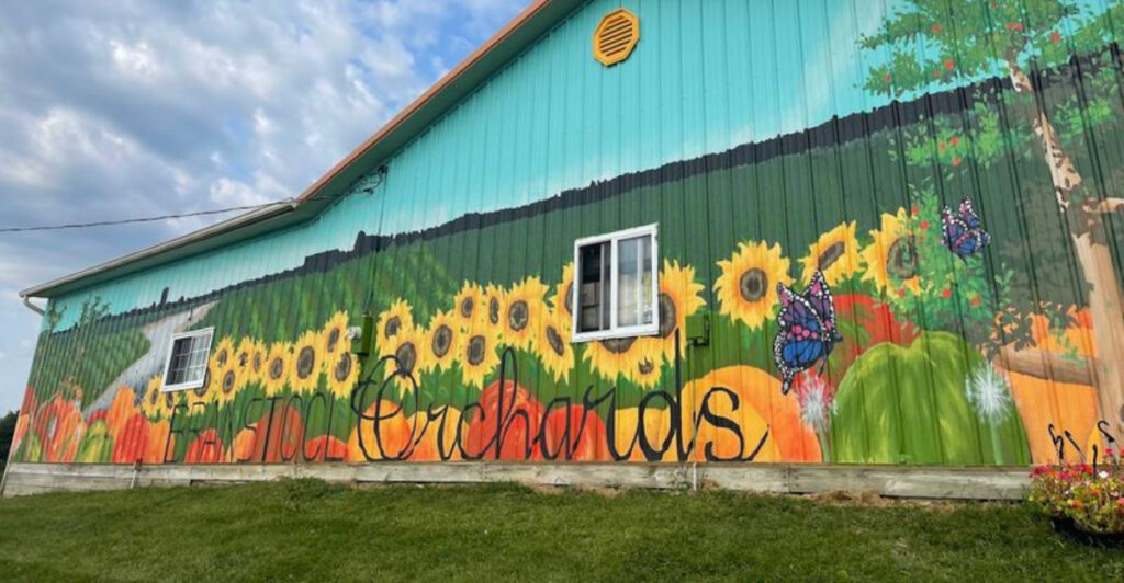 12 Ohio Sunflower Fields That Turn August Into the Prettiest Month of the Year