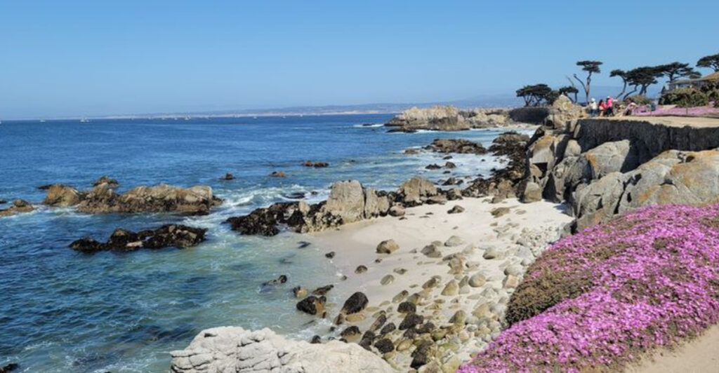 12 Picture-Perfect West Coast Beach Towns for Your Next Coastal Escape