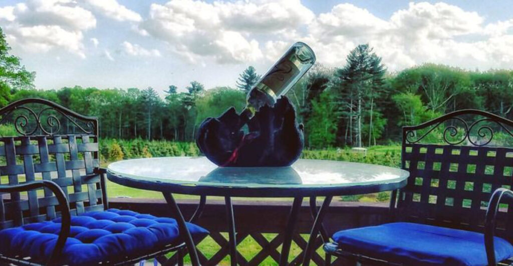 12 Rhode Island Wineries Pouring Local Flavor Across the Ocean State