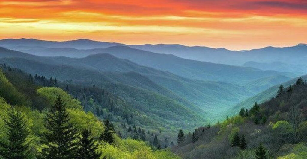 12 U.S. National Parks Where Birdwatchers Have Plenty To Look For