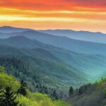 12 U.S. National Parks Where Birdwatchers Have Plenty To Look For