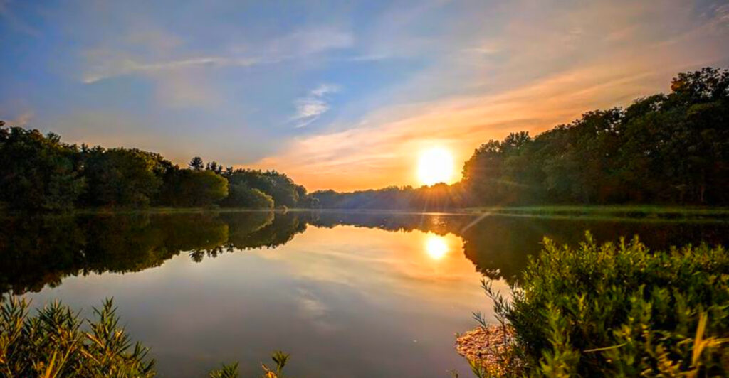 13 Missouri Conservation Areas Perfect for Wildlife Watching