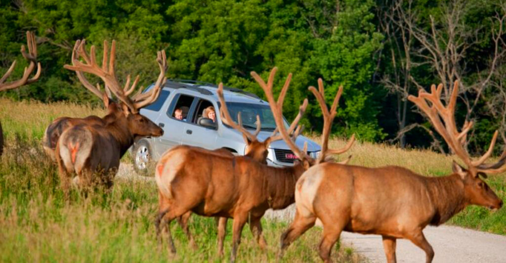 13 Nebraska Attractions Every Family Should Visit at Least Once
