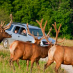 13 Nebraska Attractions Every Family Should Visit at Least Once