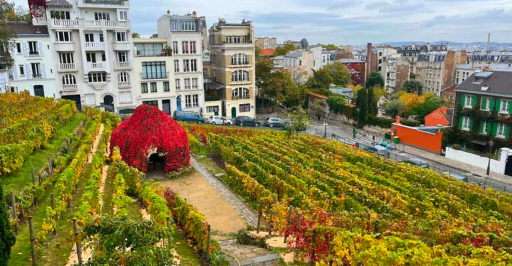 13 Paris Secrets Most Tourists Walk Right Past