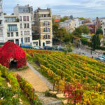 13 Paris Secrets Most Tourists Walk Right Past