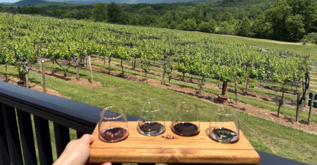 13 U.S. Countryside Escapes Where Vineyards Shape The Landscape