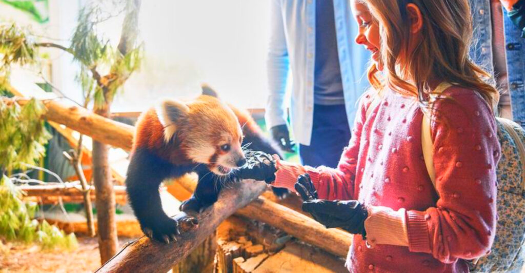 13 West Virginia Attractions That Kids and Adults Both Love