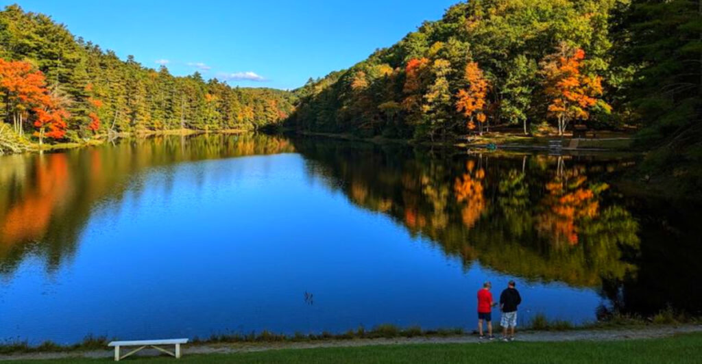 13 West Virginia State Parks That Nature Lovers Will Adore