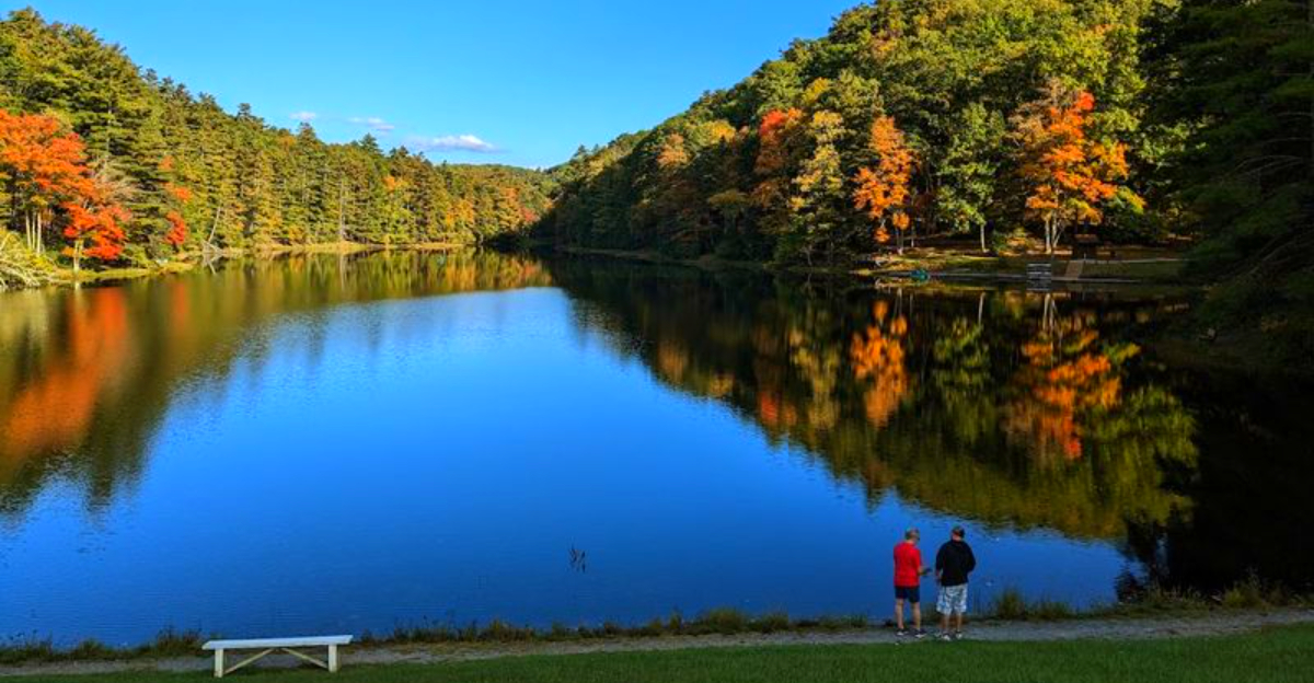 13 West Virginia State Parks That Nature Lovers Will Adore