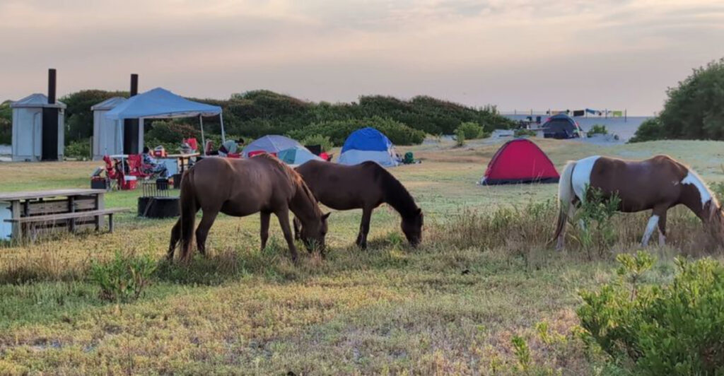 14 Best Beach Camping Spots Along the East Coast