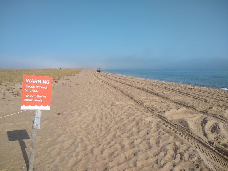 14 Miles of Sand Trails Worth Every Step 14 Miles of Sand Trails Worth Every Step