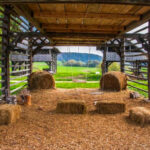 14 Villages With Thousands of Drying Hay Racks Every Summer