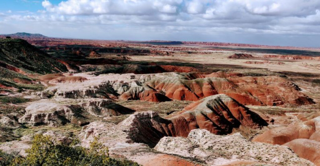 15 American Destinations Famous For Fossils And Dinosaur Tracks