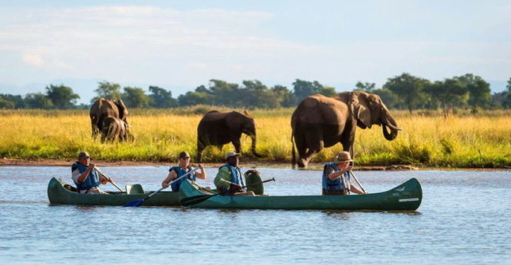 15 Destinations Where Elephants Move Through Open Landscapes