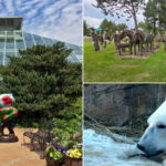 15 Low-Cost Wisconsin Attractions For Families, Road Trips, And Weekend Plans