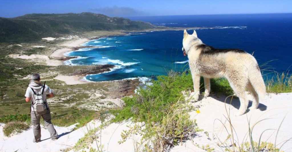 15 Of The World’s Most Beautiful Coastal Walks For Ocean Views