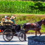 15 Pennsylvania Amish Country Spots That Feel Like Stepping Back in Time
