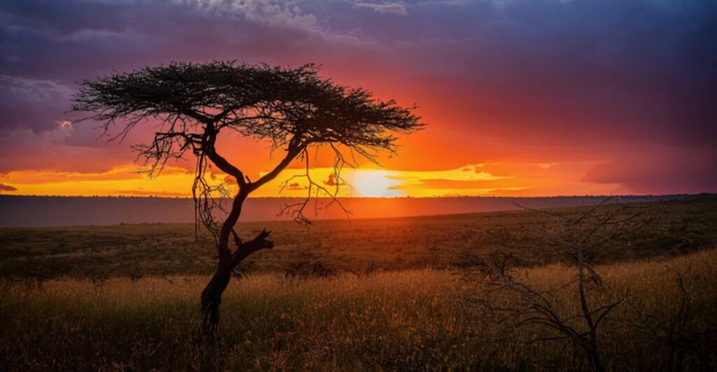 15 Savannah Landscapes Every Nature Lover Should See