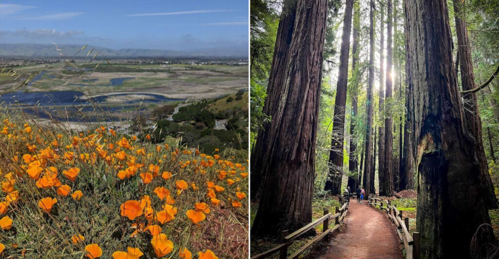 15 Scenic California Parks You Can Visit Within An Hour Of San Francisco