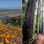 15 Scenic California Parks You Can Visit Within An Hour Of San Francisco