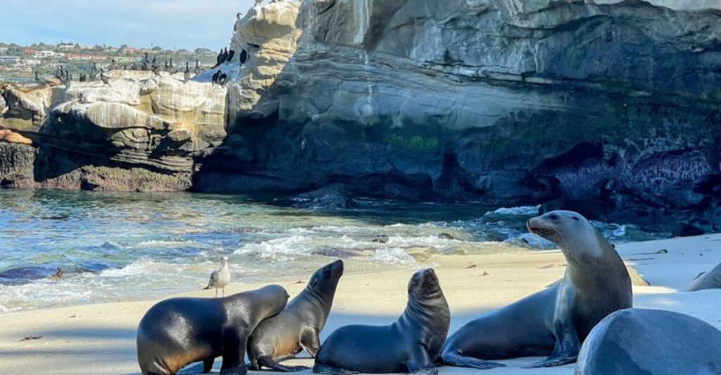 15 West Coast Beaches Worth Planning an Entire Vacation Around