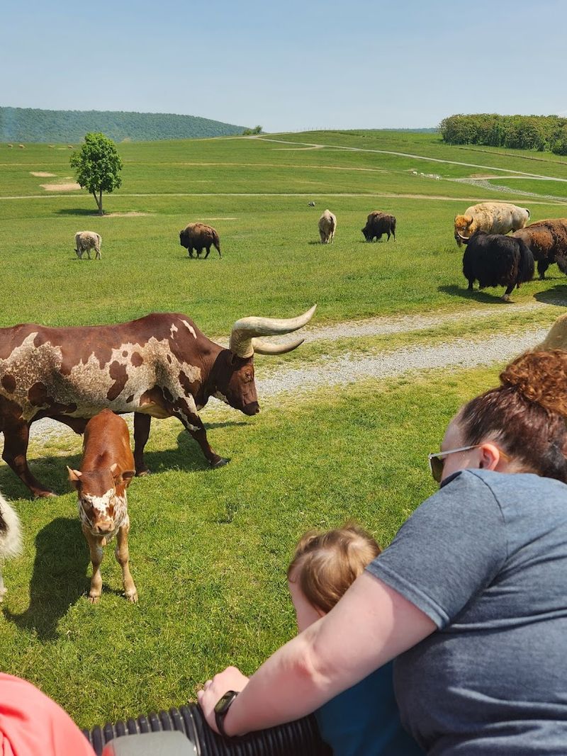 150 Acres of Pure, Unfiltered Wildlife 150 Acres of Pure, Unfiltered Wildlife