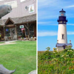 20 Budget-Friendly Oregon Day Trips That Feel Like a Vacation