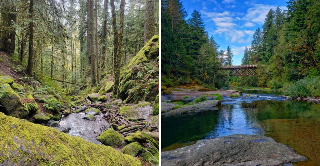 This Oregon River Park Near Sweet Home Has Swimming Holes, Old-Growth Forest, and a Waterfall Just 3/4 Mile Away