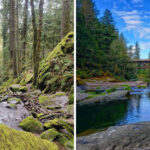 This Oregon River Park Near Sweet Home Has Swimming Holes, Old-Growth Forest, and a Waterfall Just 3/4 Mile Away