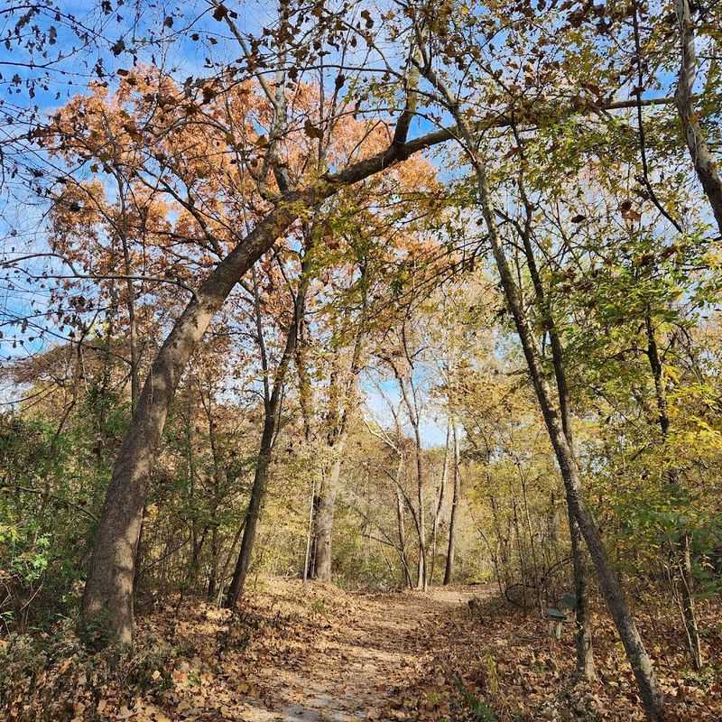 40 Acres That Feel Like 400