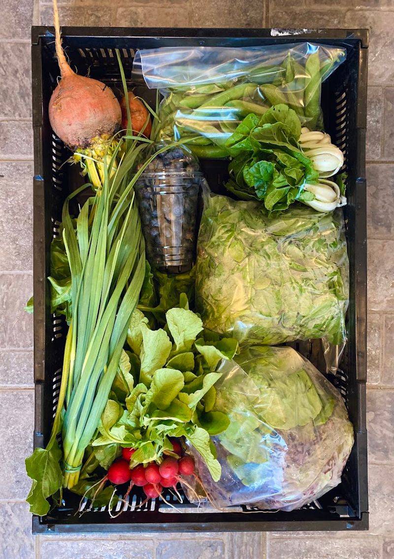 A CSA Program Built Around the Community