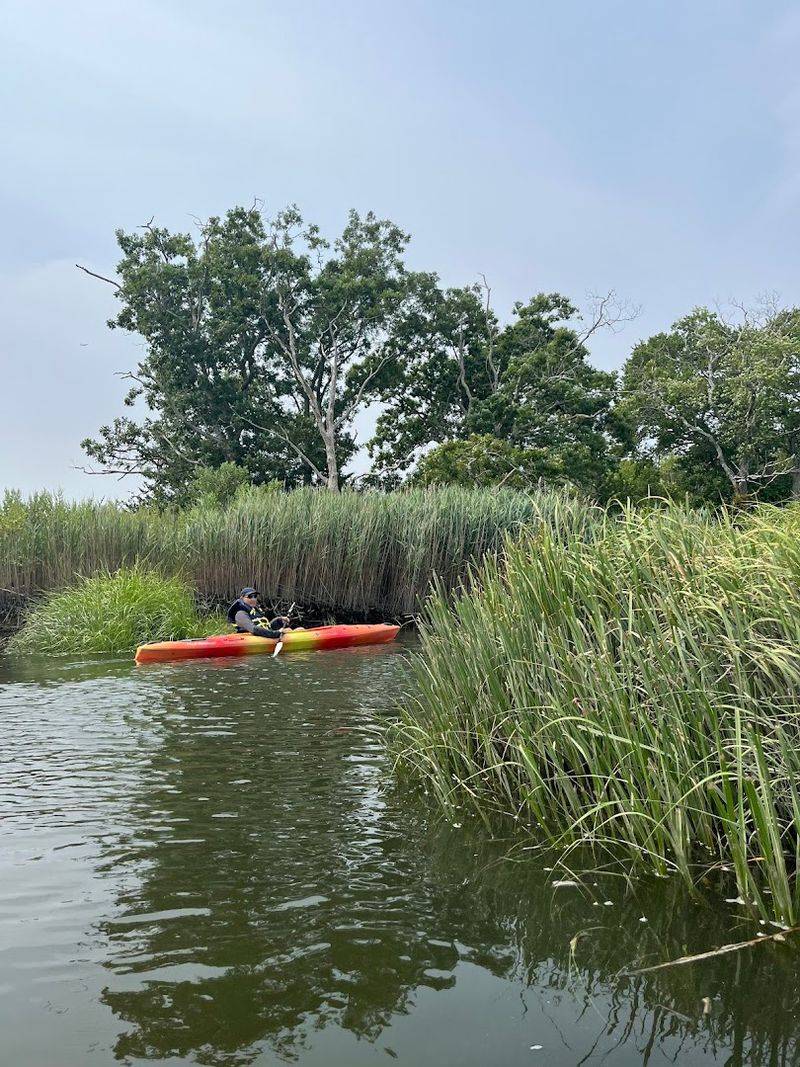 A Cape Cod Outing Worth Putting on the Calendar