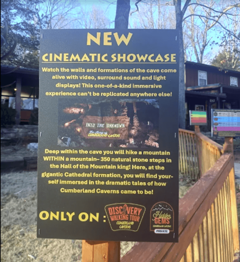A Cinematic Experience Below the Surface