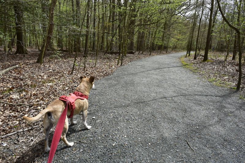 A City Preserve With a Surprisingly Wild Address A City Preserve With a Surprisingly Wild Address