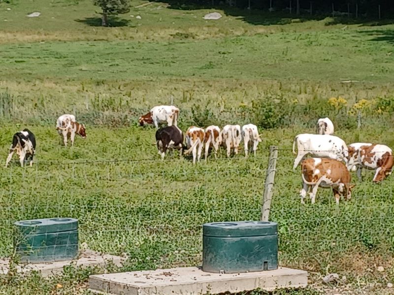 A Closing Thought on What This Farm Represents