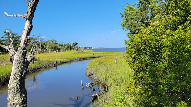 A Coastal Preserve Hiding In Plain Sight A Coastal Preserve Hiding In Plain Sight